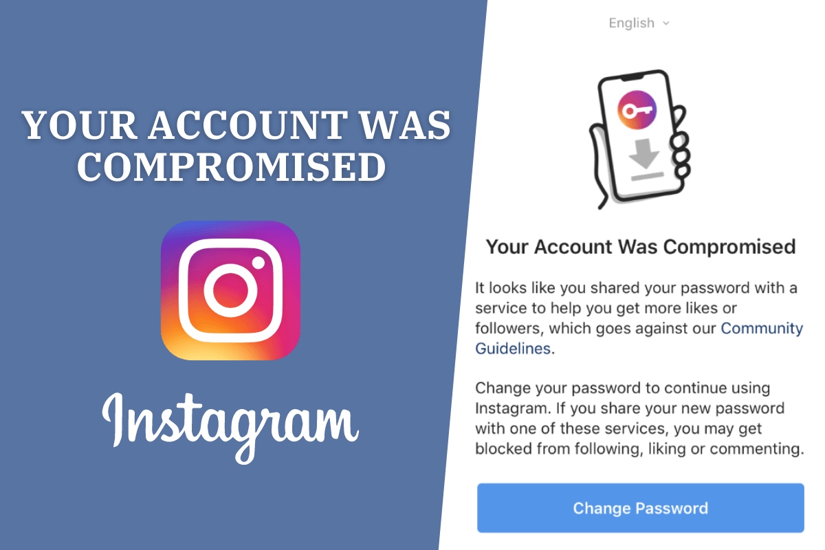 what to do when your instagram is compromised