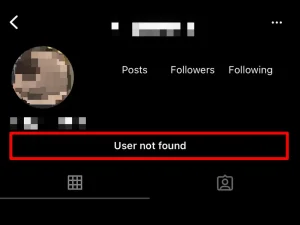 when instagram says user not found